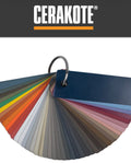Handgun Frame Only | Cerakote Service